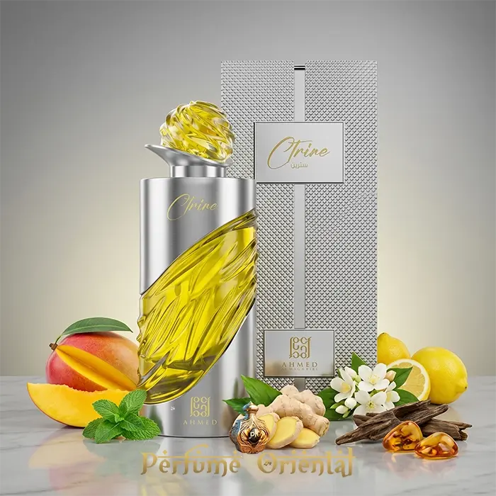 Perfume CTRINE AHMED AL MAGHRIBI EXTRAIT DE PARFUM 100ML-Unisex - Image 2